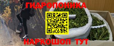 бутират Кингисепп