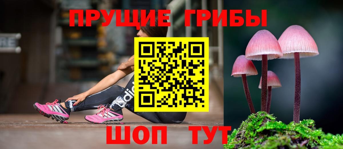 Керчь  Галлюциногенные грибы Psilocybe  Вход с VPN  Галлюциногенные грибы мухоморы 